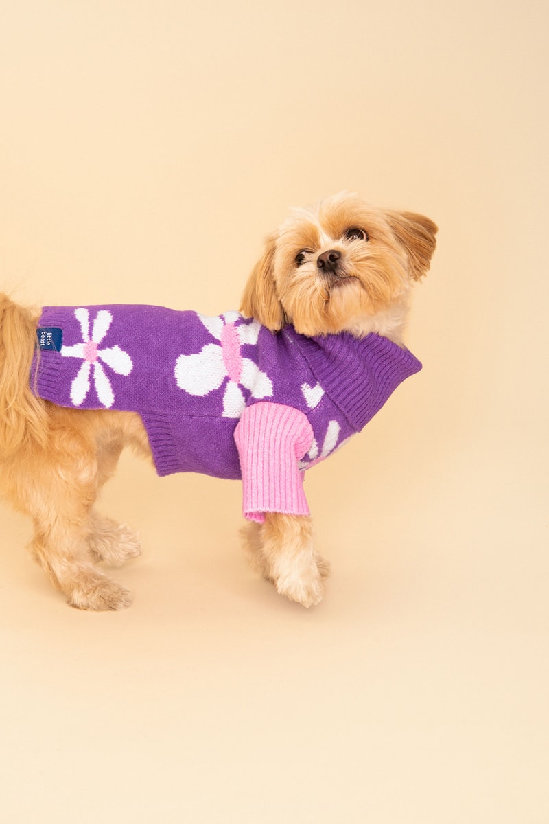 Little Beast Fall Pet Collection Onesies Dog Sweater Yellow Green