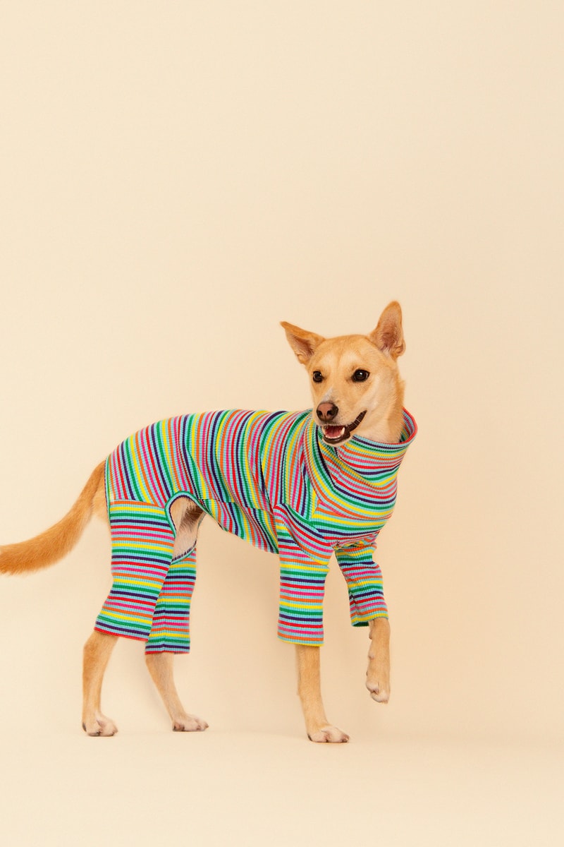 Little Beast Fall Pet Collection Onesies Dog Sweater Yellow Green