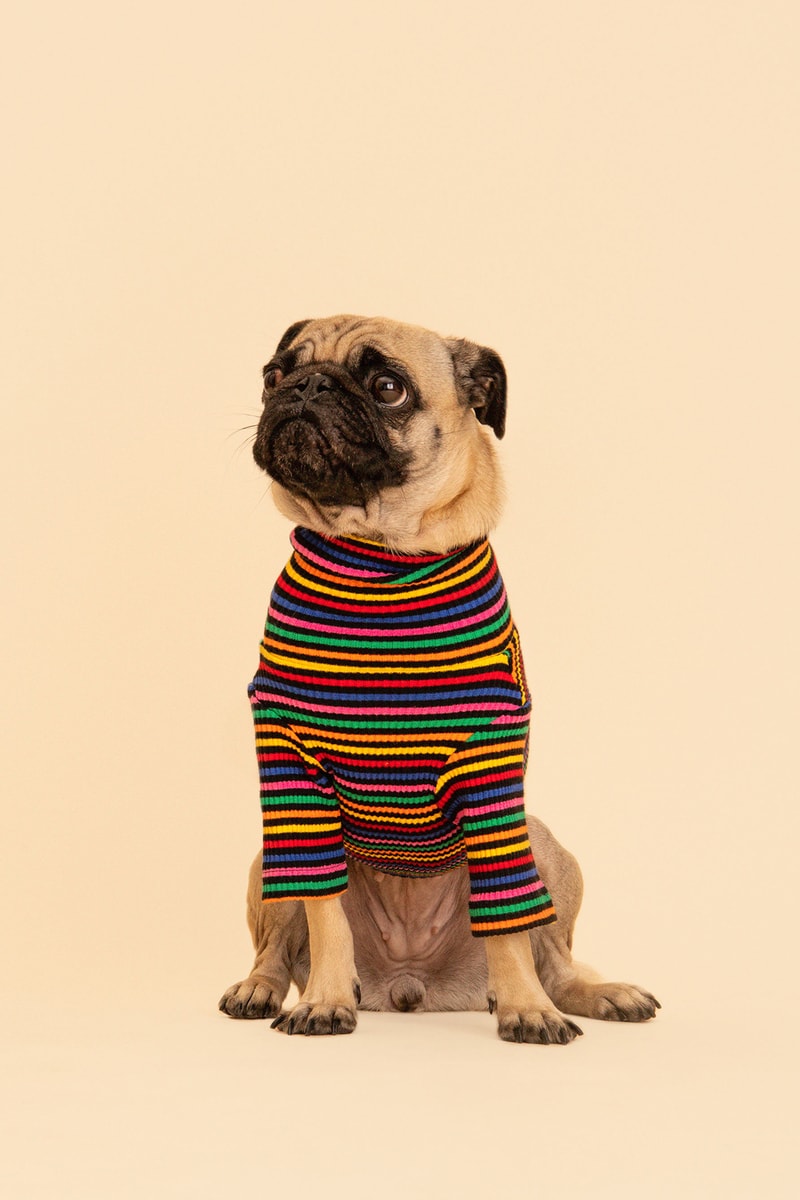 Little Beast Fall Pet Collection Onesies Dog Sweater Yellow Green