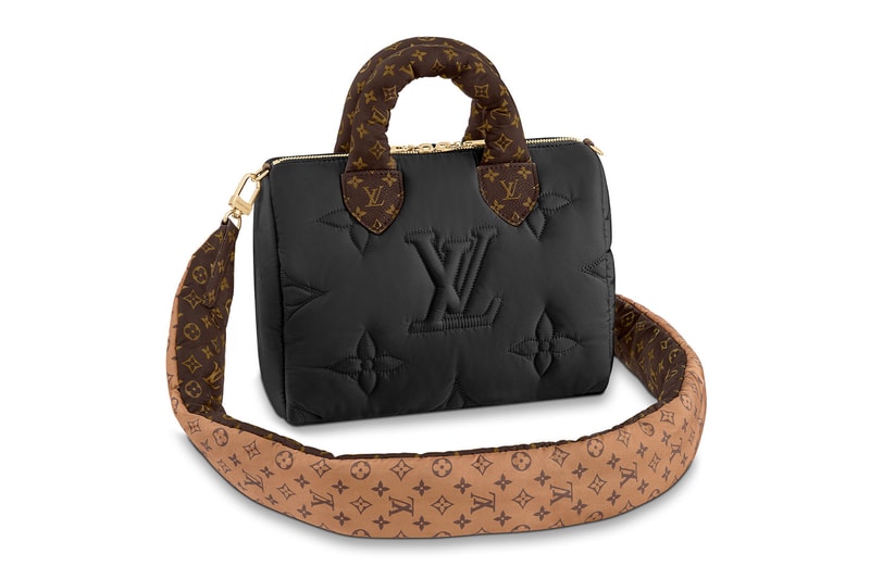 Louis Vuitton Pillow Monogram Speedy Bandouliere