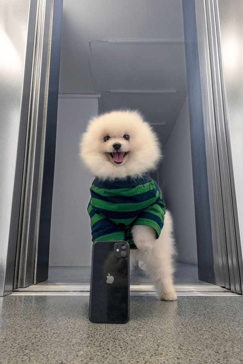 SUNNEI Pegs Dogwear Capsule Striped Tee Mirror Selfie