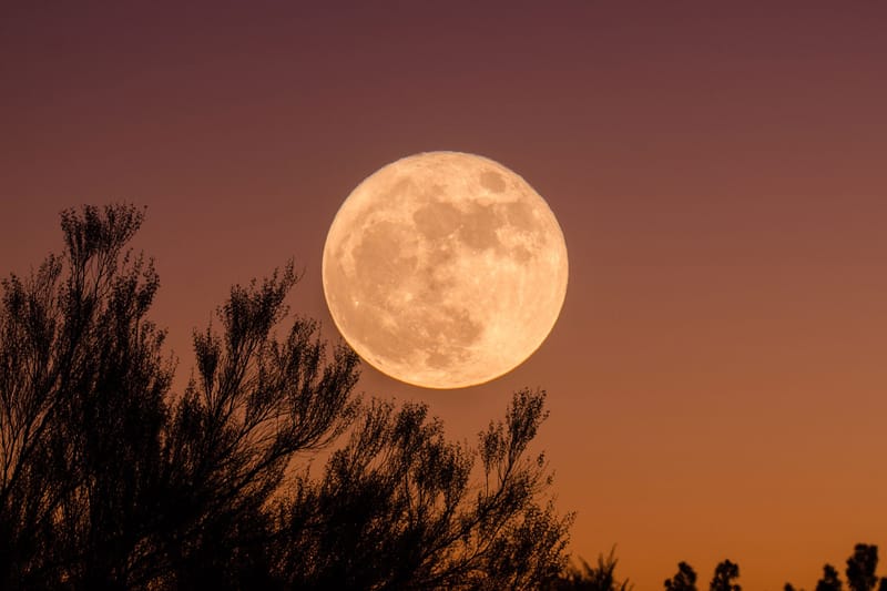 How, When and Where to Catch the First Full Moon of 2022