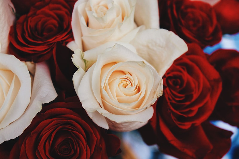 Roses Bouquet Flowers Valentine's Day Red White