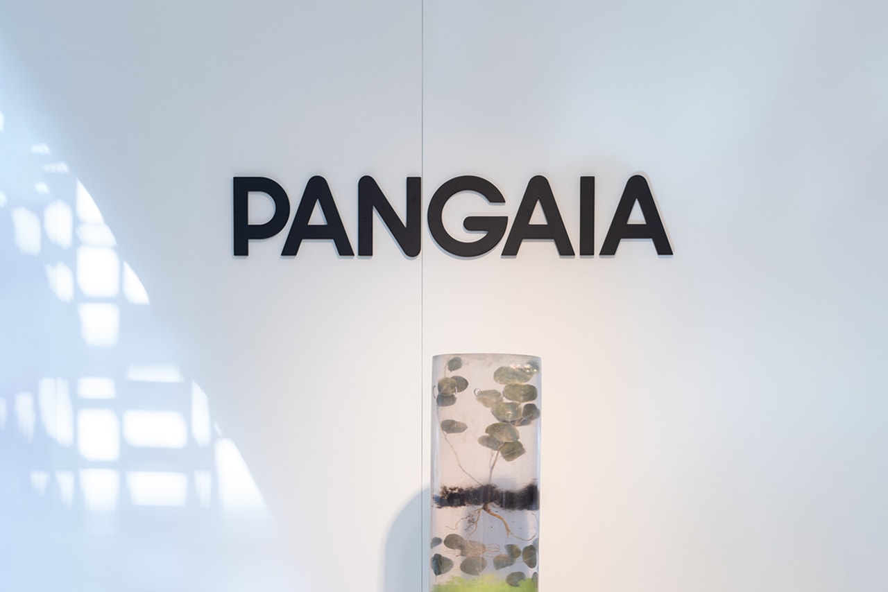 pangaia hong kong sustainable fashion interview unisex genderless clothing sweaters sweatpants crewnecks