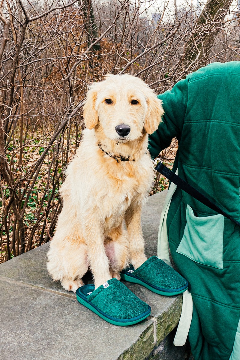 Brunch New York IRL Campaign Slippers on Dog l’Essentiel Release Info