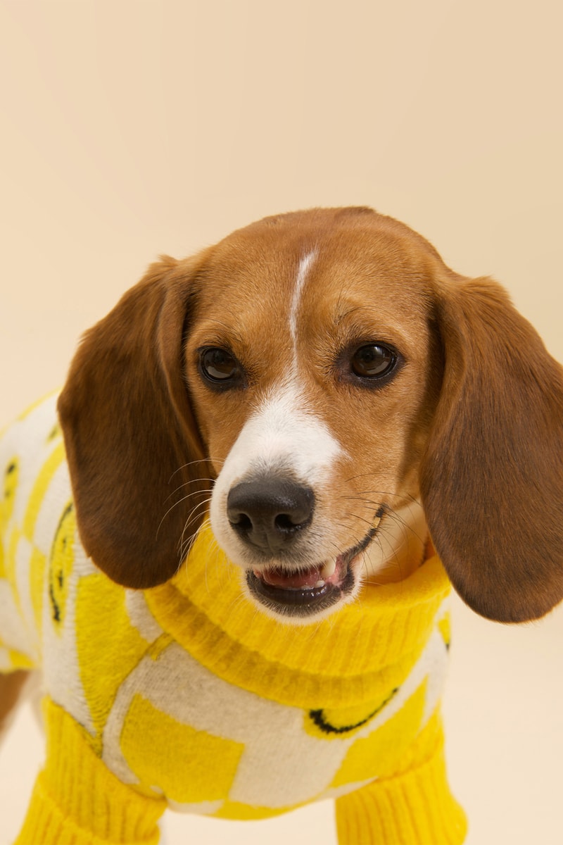 Little Beast New Winter Collection Dogs Lookbook Sweaters Socks The Smiley Sweater