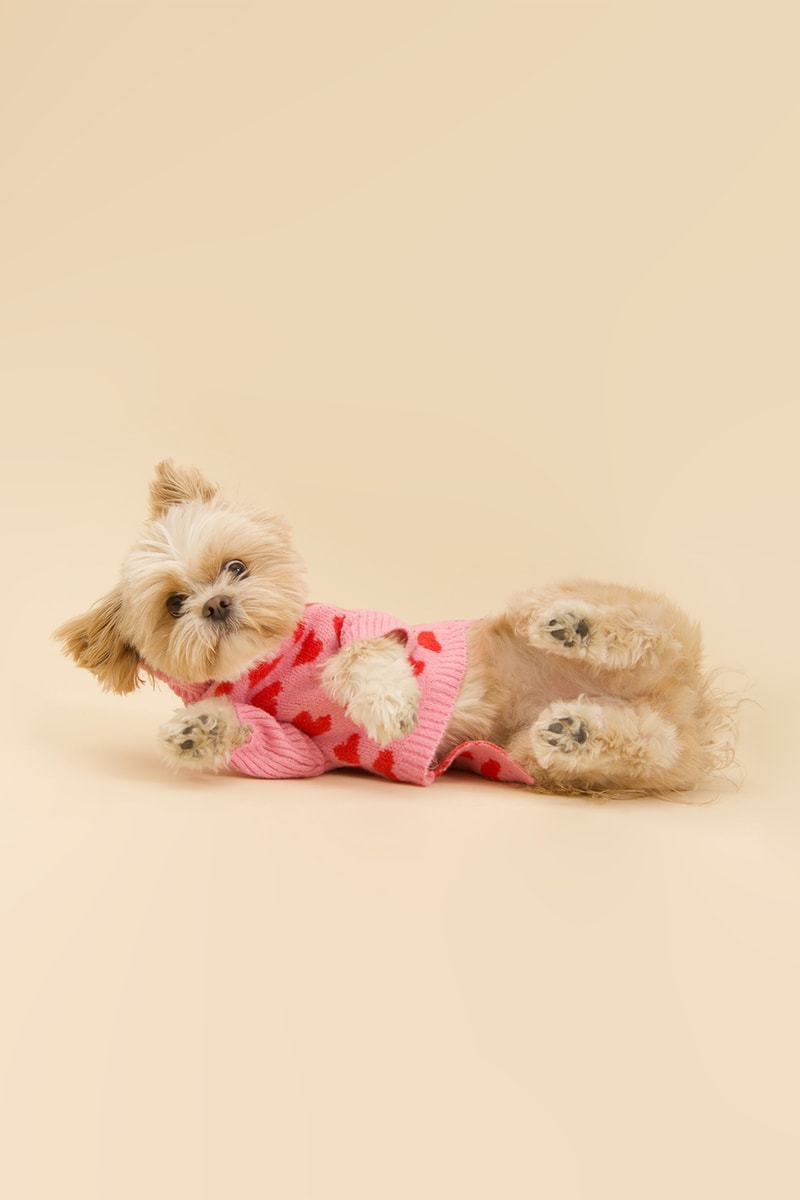 Little Beast New Winter Collection Dogs Lookbook Sweaters Socks The Love Sweater
