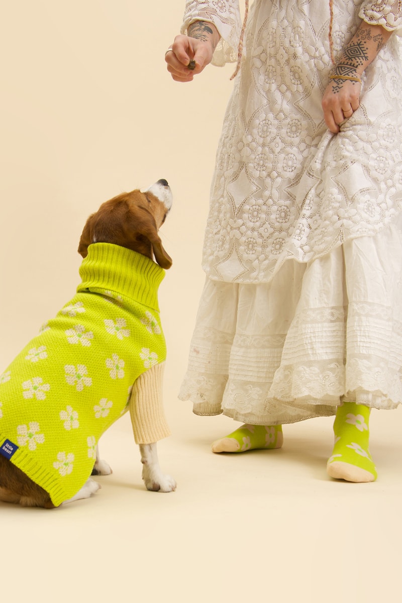Little Beast New Winter Collection Dogs Lookbook Sweaters Socks Green