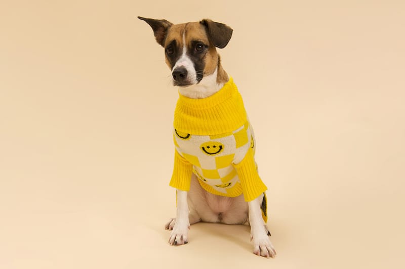 Keep Your Furry Friends Warm With Little Beast's New Collection