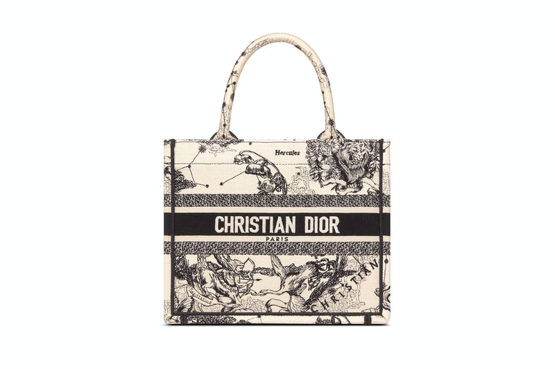Dior Book Tote Bag Small Size Release Price Info