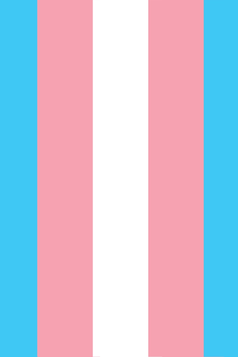 Madison Werner Trans Educators Instagram Unlearn Biases How to Be A Better LGBTQ LGBT Ally 