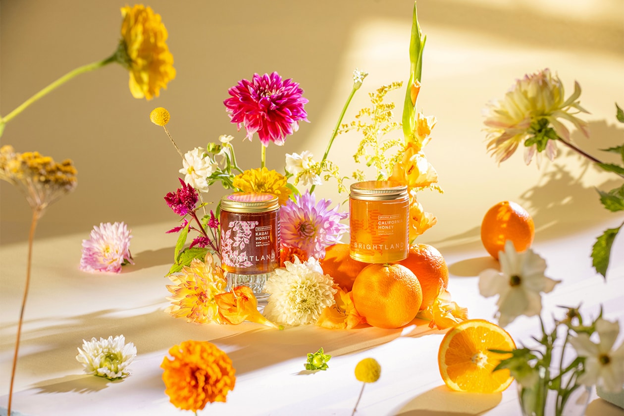 women-owned brands arq brightland youthforia harlem candle klur phlur coming soon leze the label