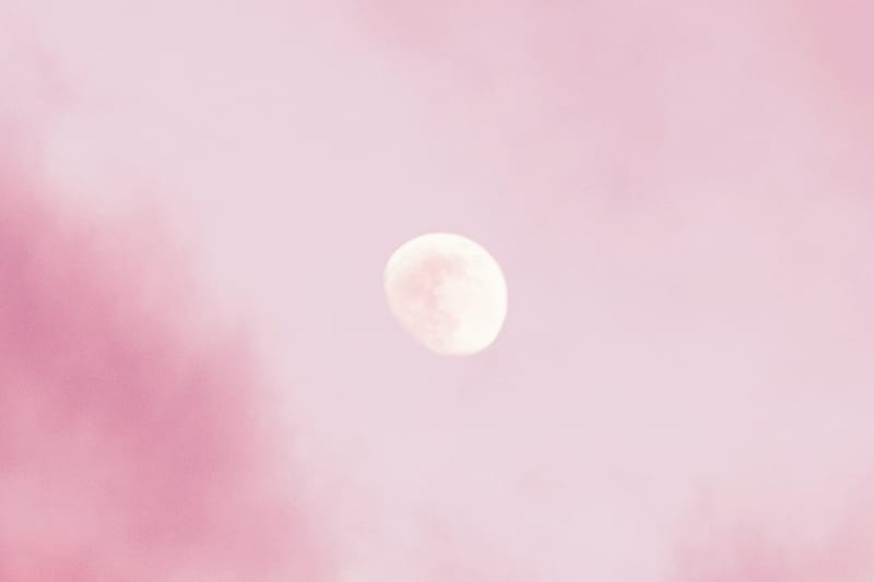 April Full Moon: A Tarot Reading for Each Zodiac Sign