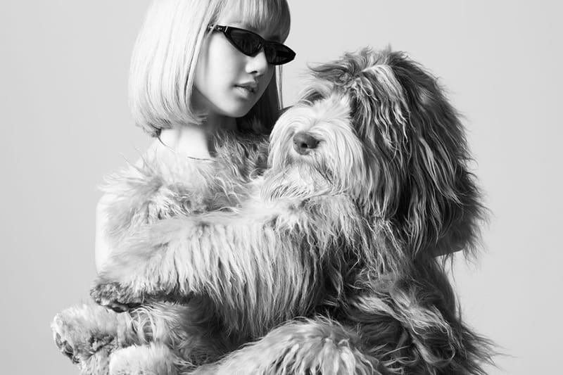 CELINE Debuts New Saddlery and Dog Accessories Line