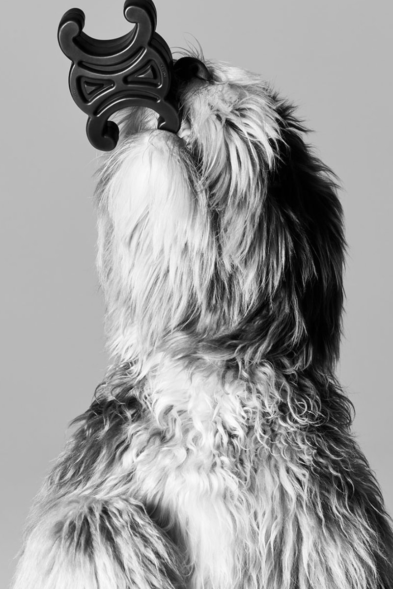 Celine Saddlery Dog Accessories Bowls Leads Elvis Collection Lookbook