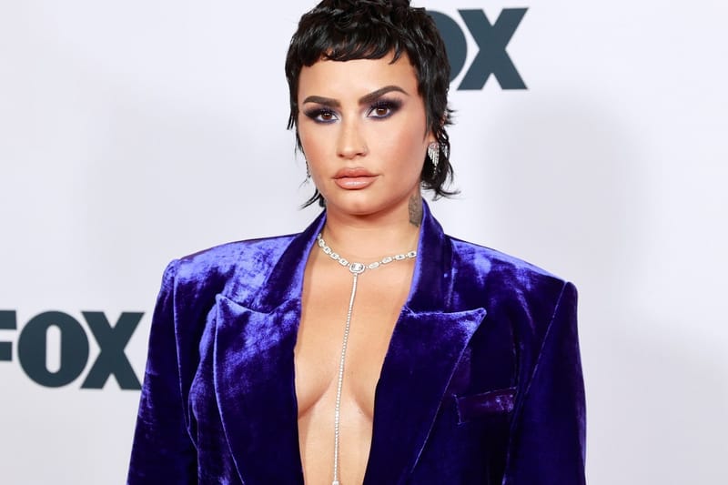 Demi Lovato Subtly Updates Her Pronouns