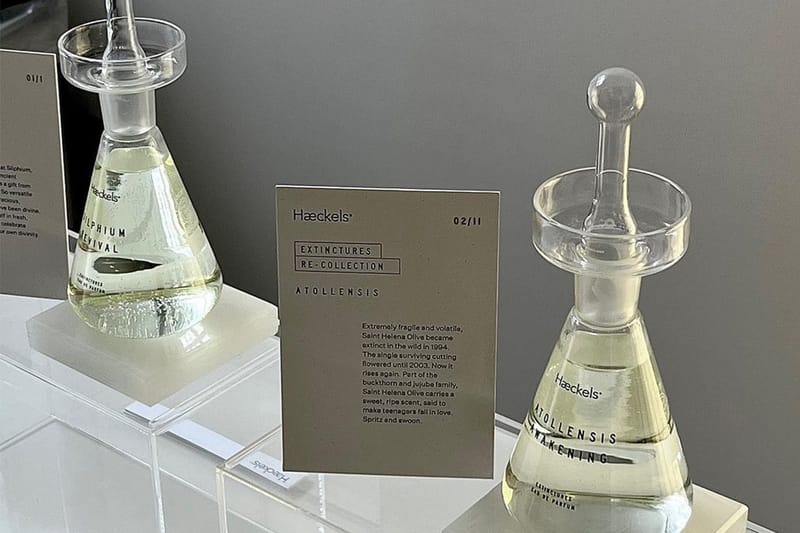 Sustainable Brand Haeckels Revives the Scents of Extinct Florals for New Perfume