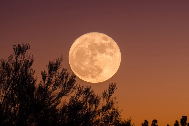 What May's Full Moon Eclipse Means for You