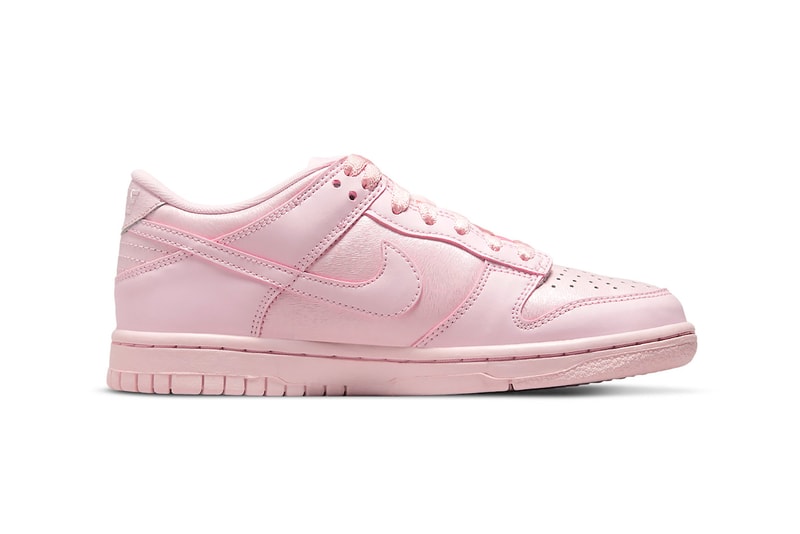 Nike Dunk Low Prism Pink Sneakers Footwear Shoes Kicks 