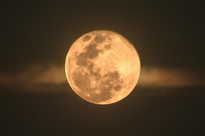july new moon leo horoscope zodiac signs jupiter horoscope 