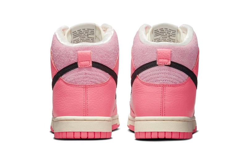 Nike Dunk High Hoops Pink DX3359-600 Price Release Info