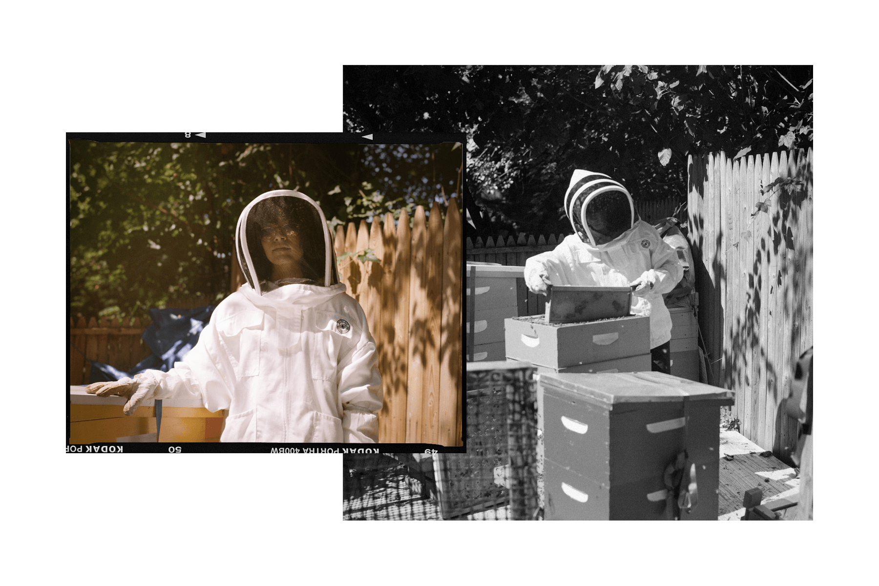 beekeeper alaura flynn timberland campaign