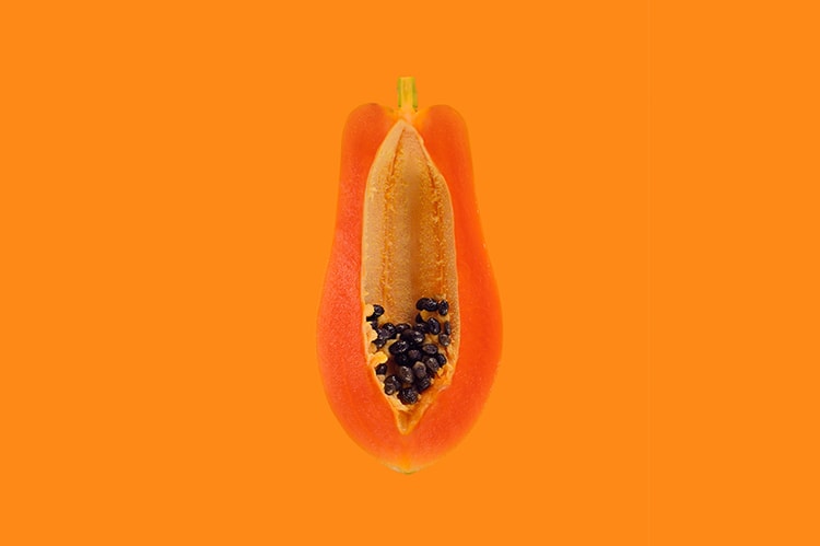 Is the Term Female Reproductive System Outdated?