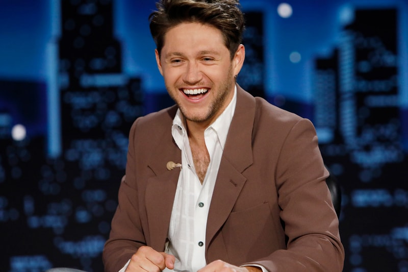 niall horan cardigan collection knitwear sweater vests tiktok