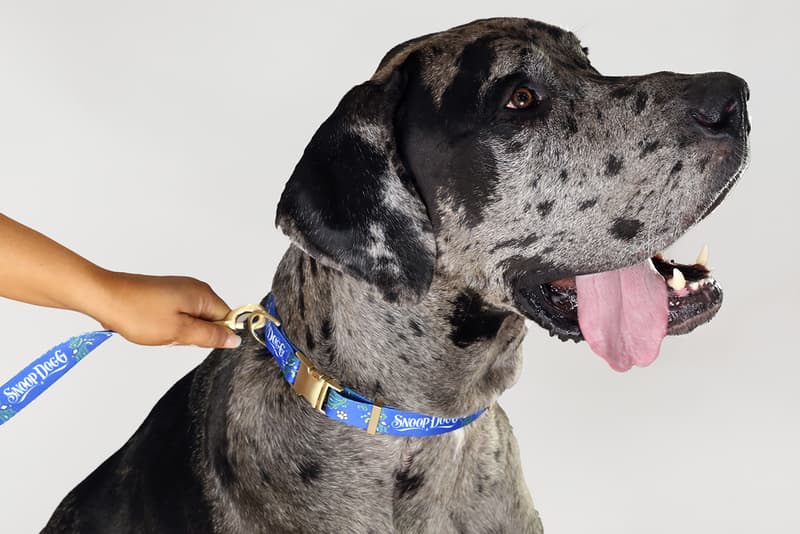 Maillot De Sport Snoop Dogg Pour Chien – Taille L En Polyester Bleu