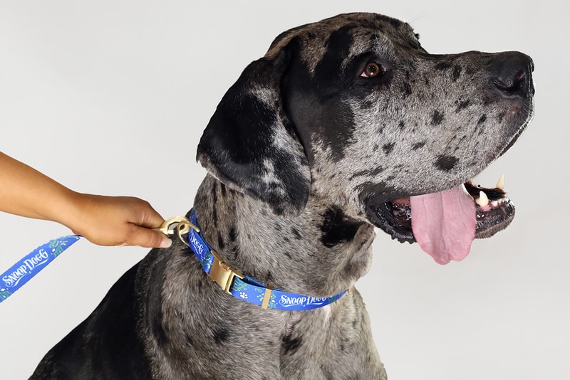 snoop dogg petwear brand snoop doggie doggs hoodies leashes collars sweaters hats
