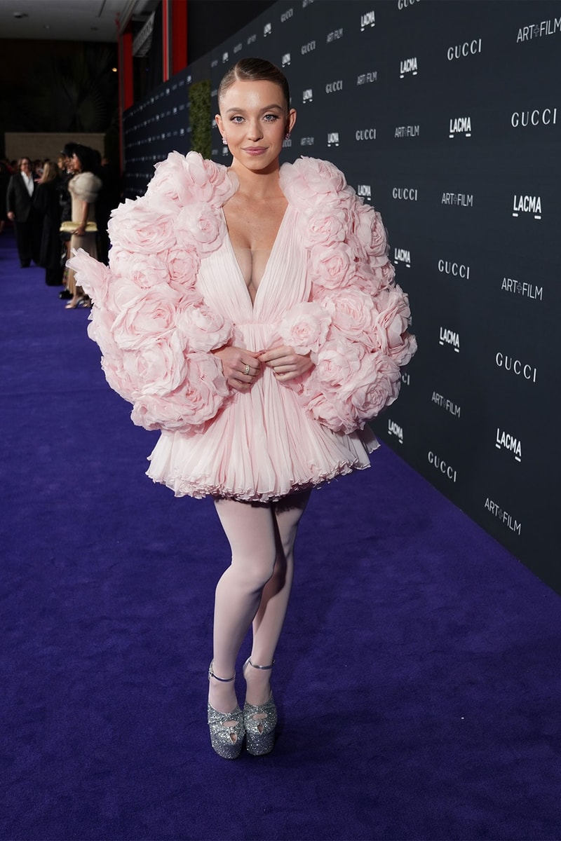 Sydney Sweeney Faces Backlash Ballerinas LACMA Gala Red Carpet Outfit TikTok Reactions