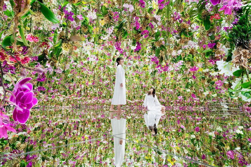 teamlab tokyo art exhibition water garden food