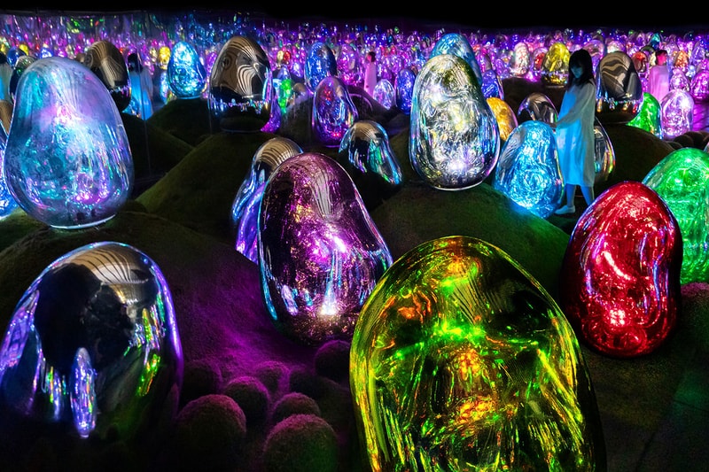 teamlab tokyo art exhibition water garden food