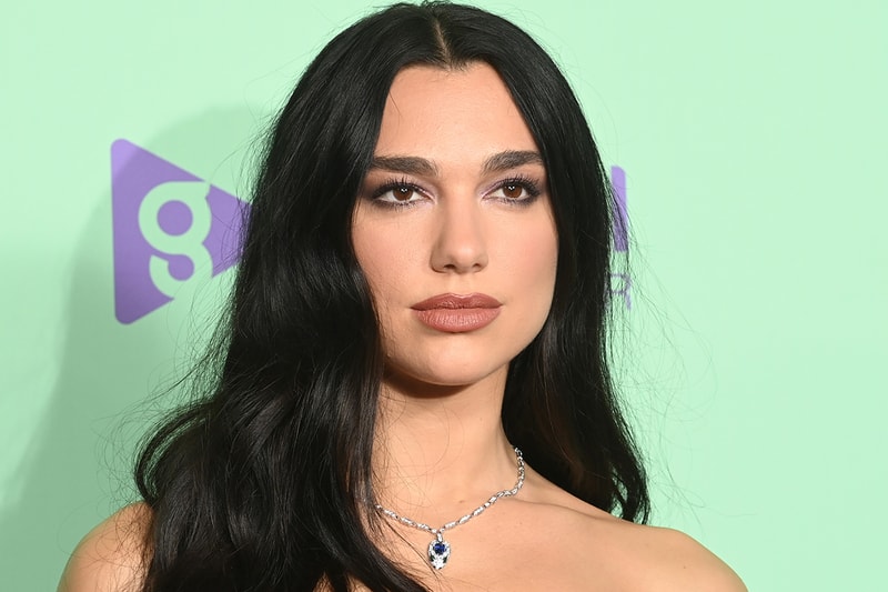 Dua Lipa braided ponytail photos instagram
