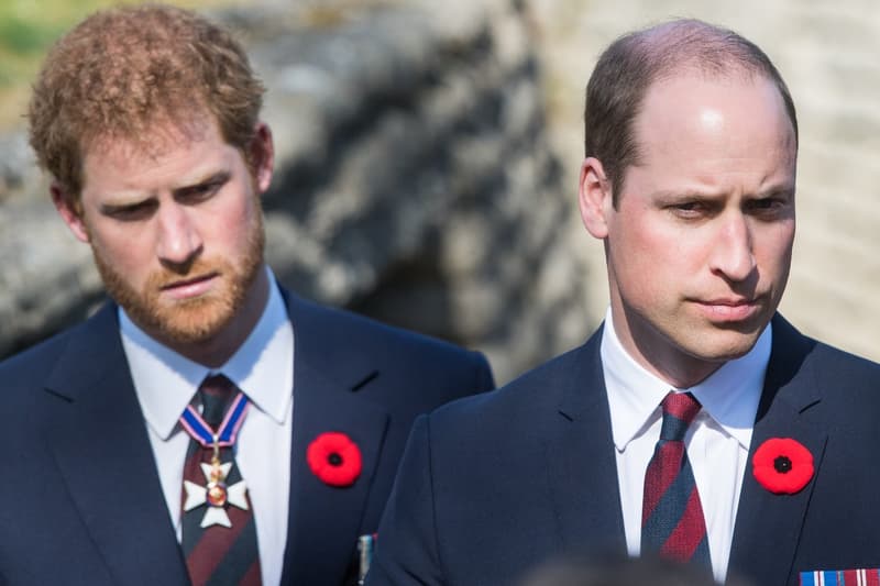 prince harry william autobiography book confrontation brothers