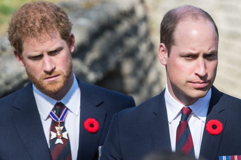 prince harry william autobiography book confrontation brothers
