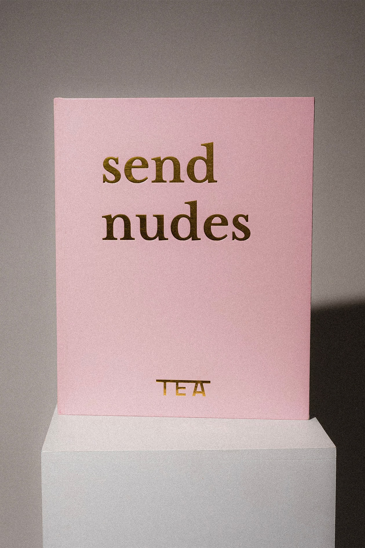 art sophie tea send nudes book coffee table fine art release interview