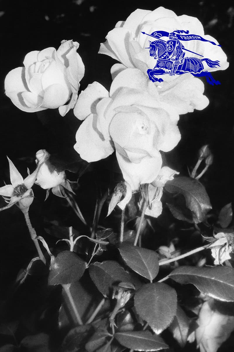 son heung-min georgia may-jagger burberry dogs 