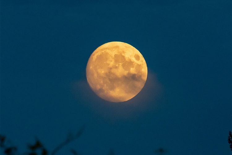 March's Full Moon in Virgo Pushes You To Let Go of the Past