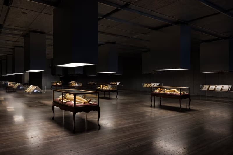 fondazione prada david cronenberg anatomical waxes exhibition milan