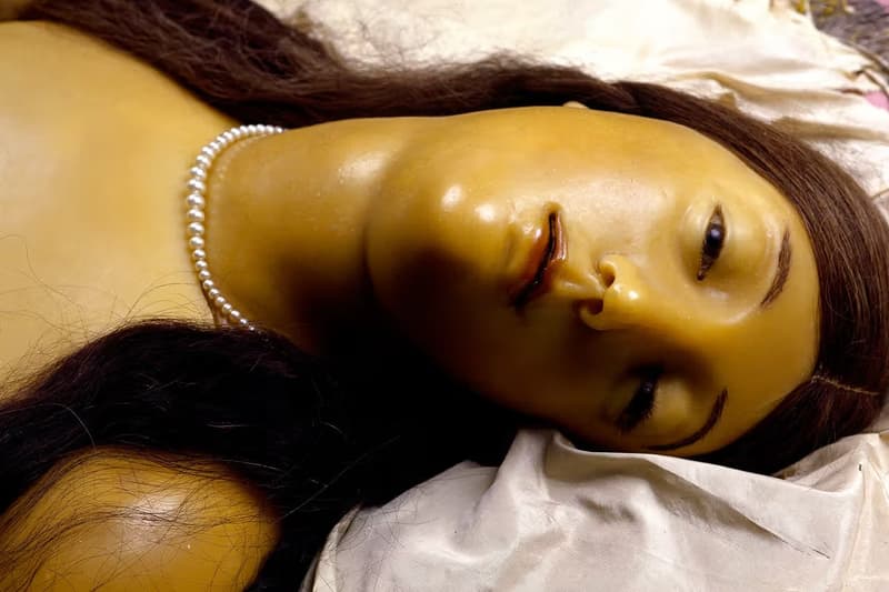 fondazione prada david cronenberg anatomical waxes exhibition milan