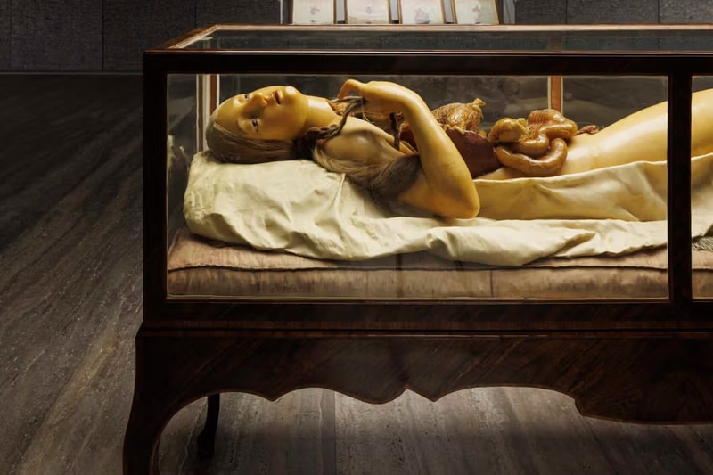 fondazione prada david cronenberg anatomical waxes exhibition milan