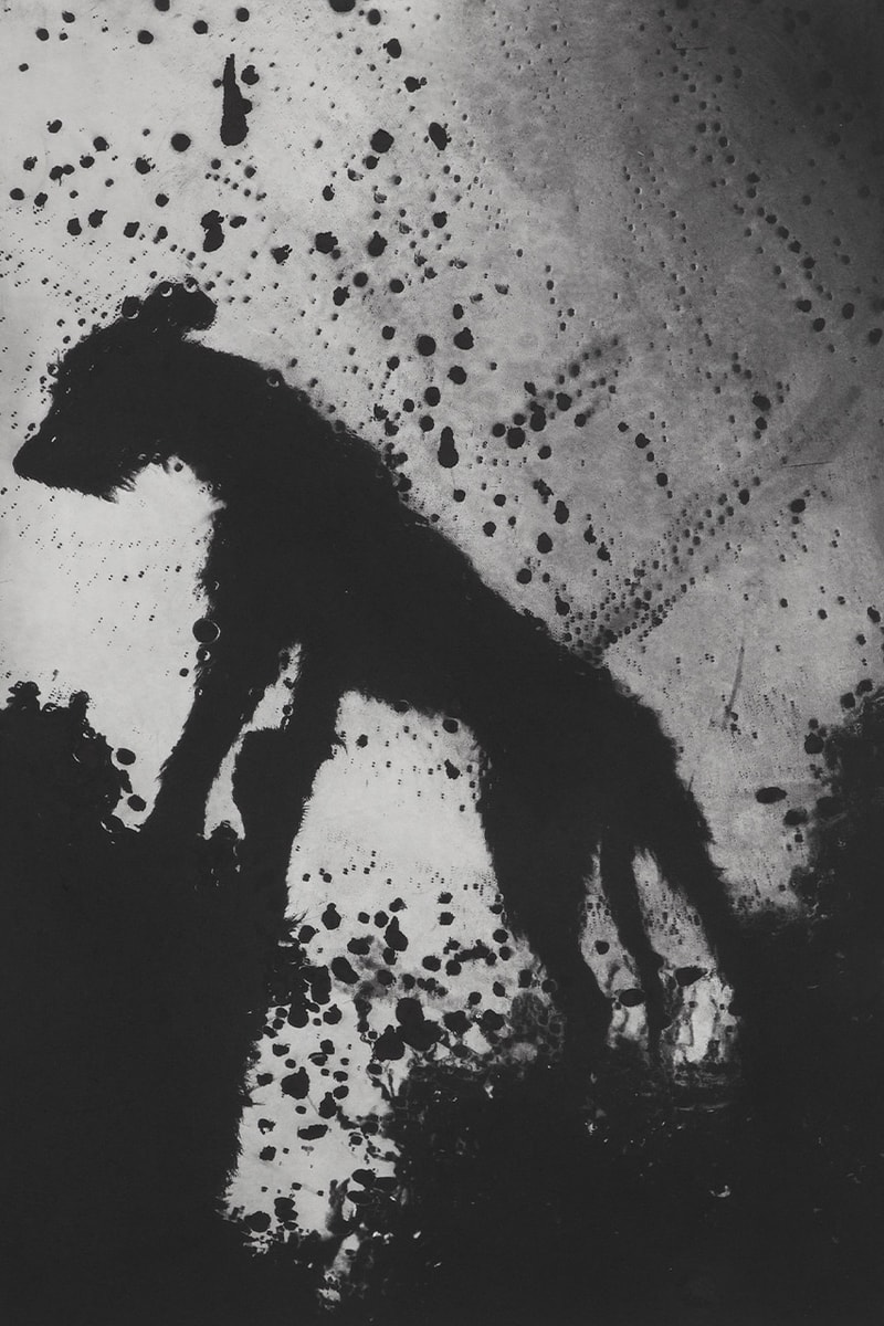 photographic etchings jack davison photo london cob gallery details 