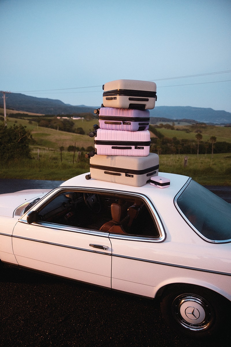 nere luggage suitcases travel 