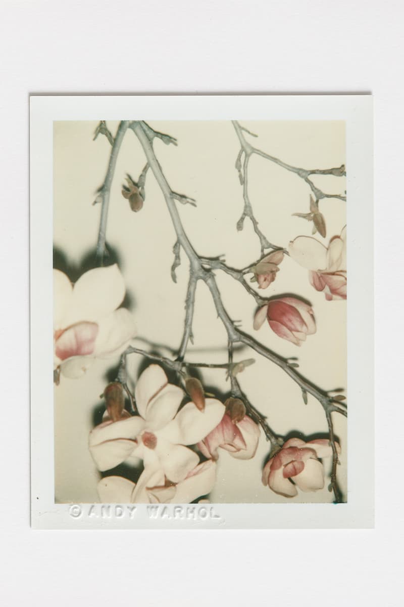 voyages avec warhol andy warhol exhibition bastide gallery details