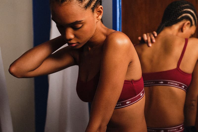 lacoste womens underwear sports bras briefs knickers loungewear