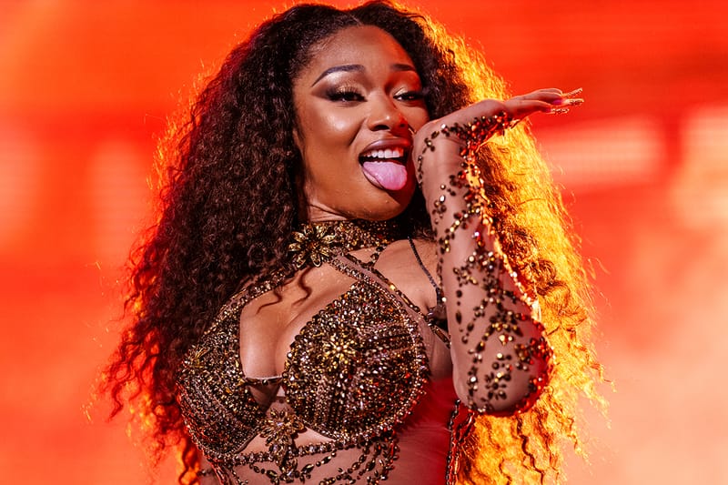 Megan Thee Stallion's Pamela Anderson-Inspired Blonde Blowout Wins All 10's Across the Board