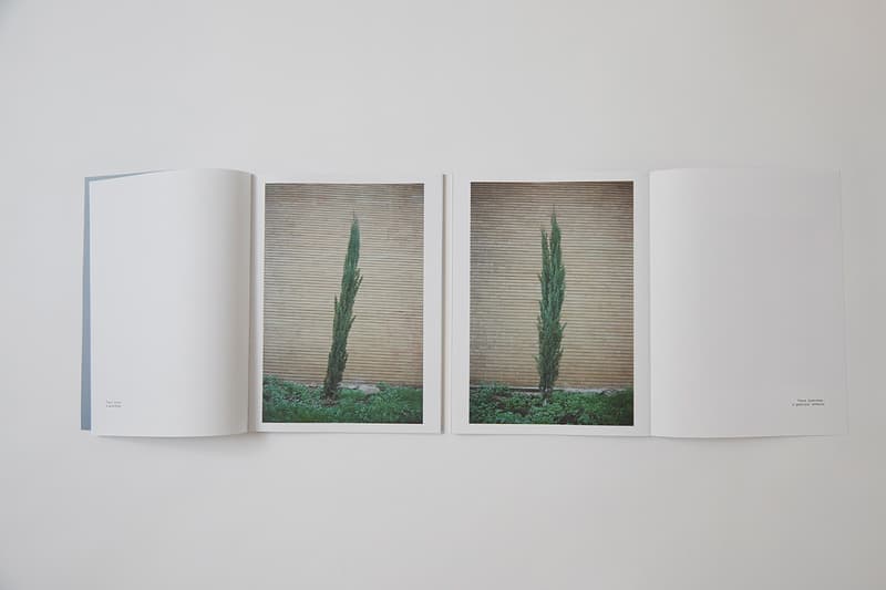 together apart photography book anna maria ritsch release details