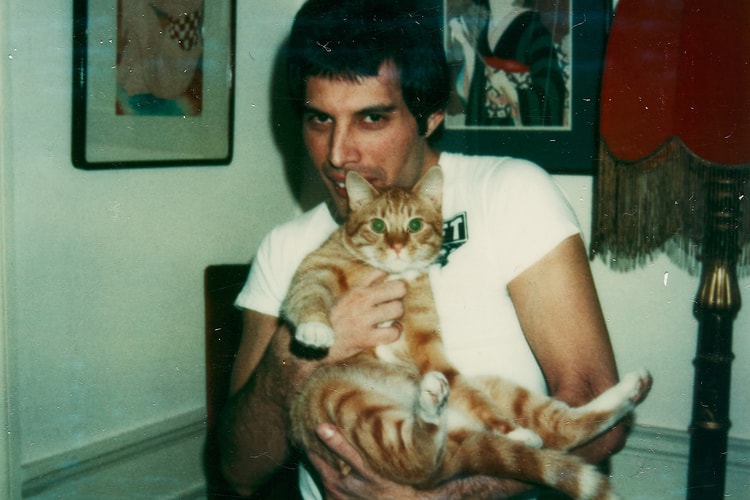 Sotheby's London Exhibits Rare Photos Capturing Freddie Mercury's Cat Obsession