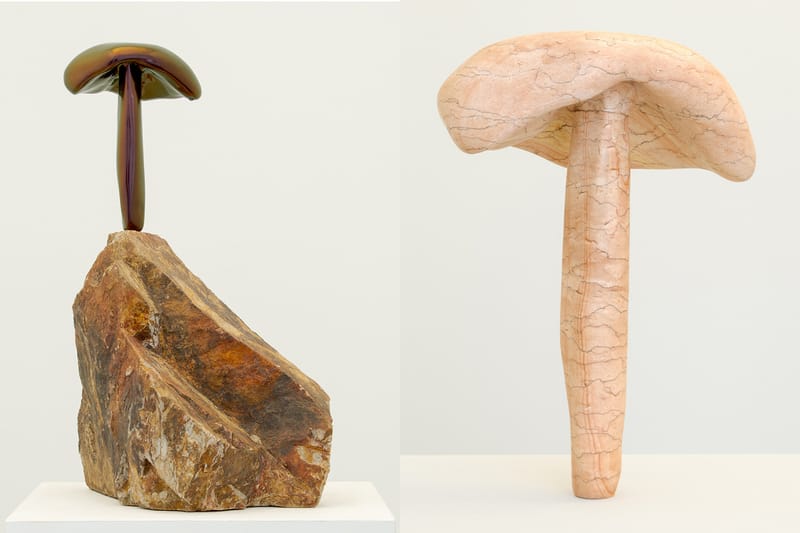 Moral Turgeman Delivers an Ode to the Not-So-Magical Nature of Mushrooms in "Rooted Signals"